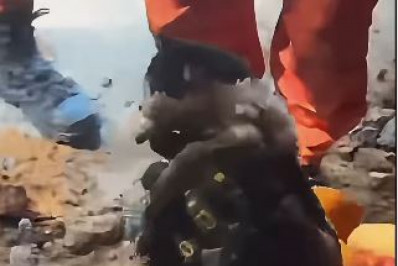 Vídeo: Bombeiros resgatam gato preso em tubulação em Teresópolis