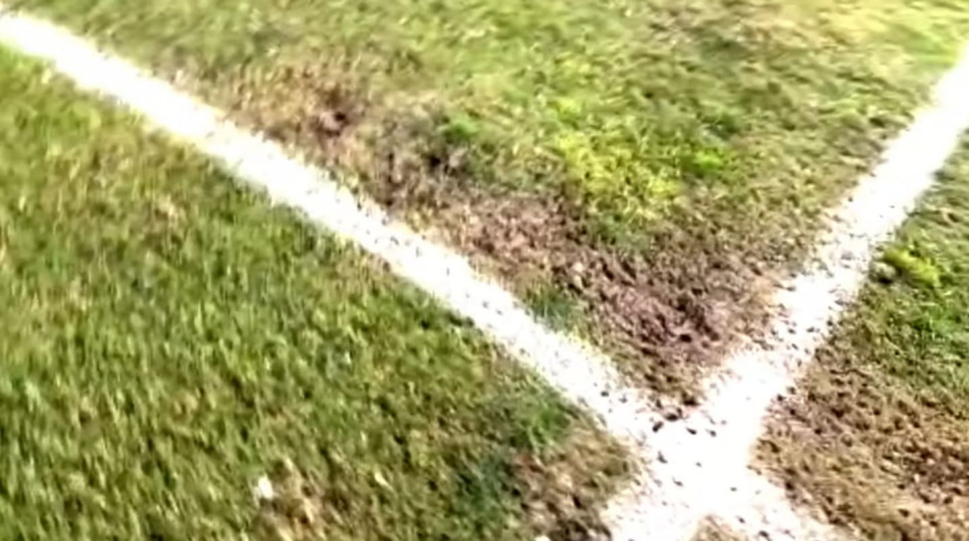 F&aacute;bio detalha gramado e v&ecirc; lado bom em empate do Fluminense