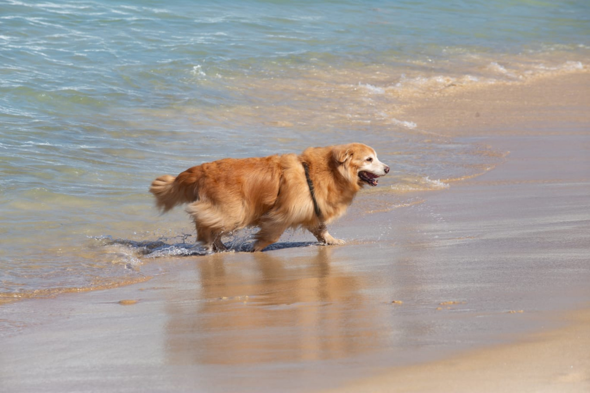 Cariocas curtindo o dia de sol na praia do Arpoador, Zona Sul do Rio de janeiro  - Érica Martin / Agência O Dia 