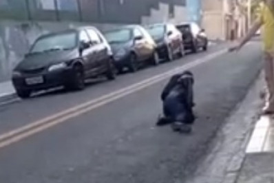 Ladrão chora e pede perdão após ser baleado durante assalto em SP: 'tenho filho pequeno'