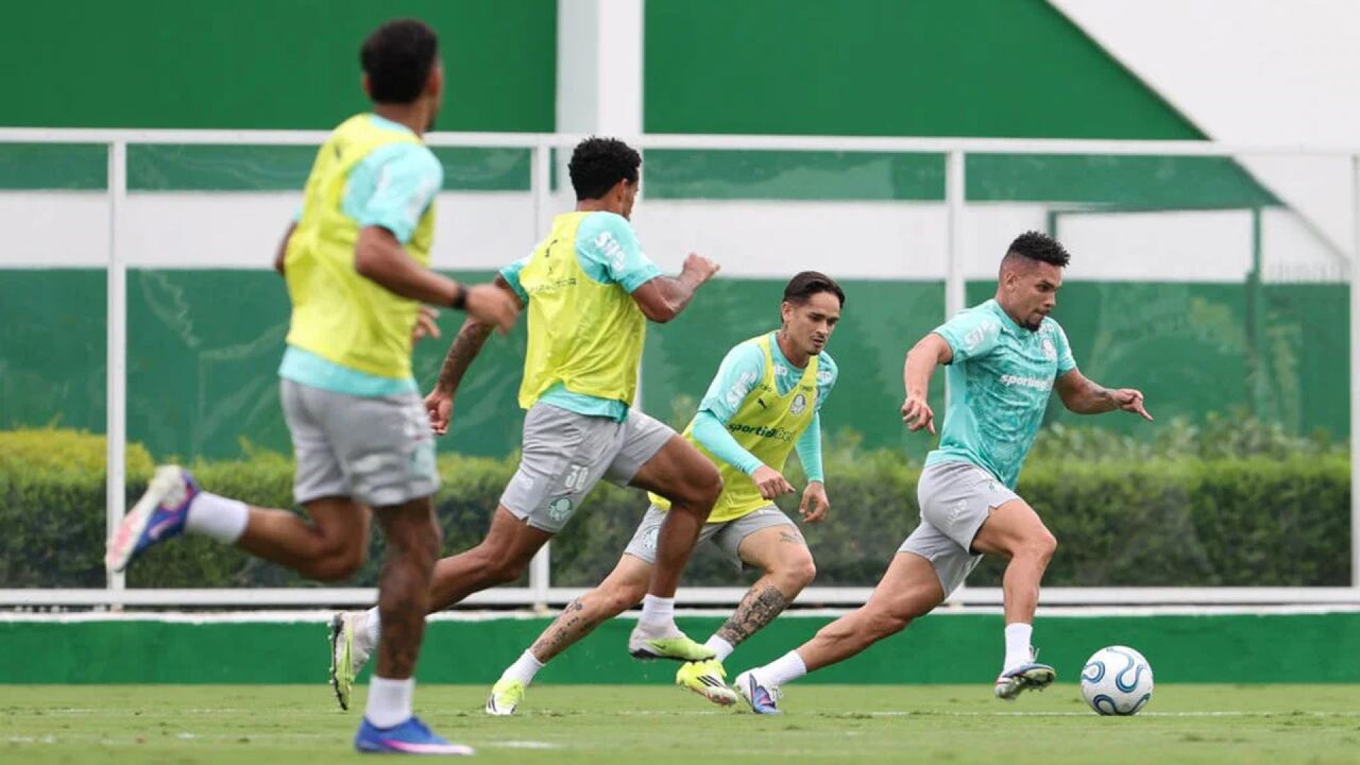 Paulinho treina sem restri&ccedil;&otilde;es no Palmeiras em prepara&ccedil;&atilde;o para jogo da Libertadores