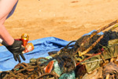  Praia da Longa recebe terceira edição de mutirão em defesa do meio ambiente