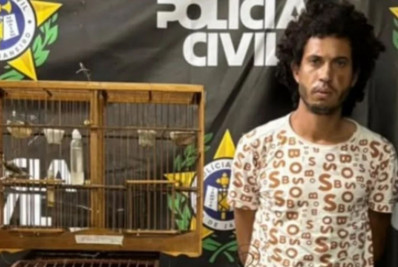 Homem é preso por espancar e matar capivara a chutes em Duque de Caxias