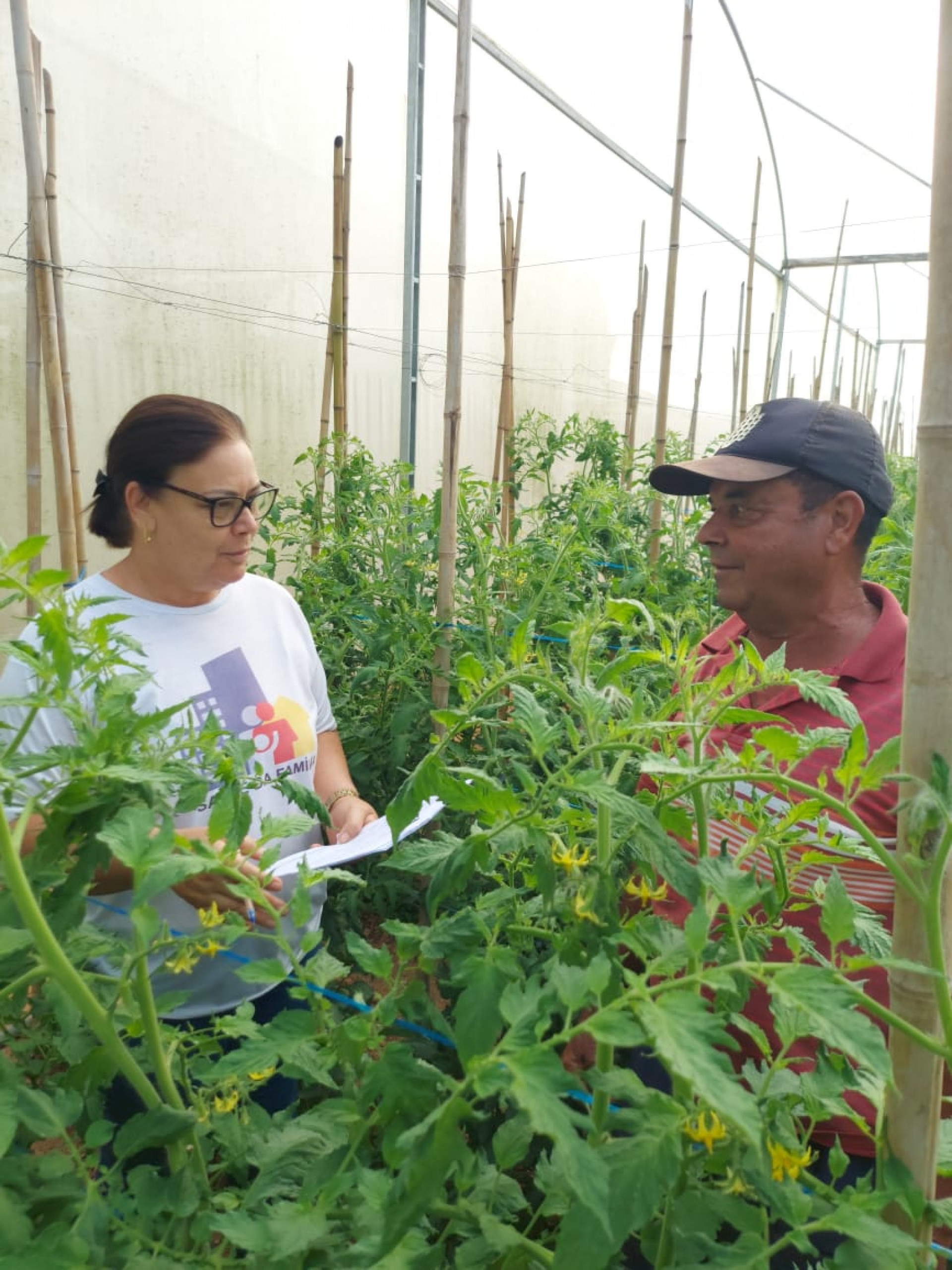 Projeto de Paty do Alferes é classificado em 1º lugar para mostra de práticas exitosas do Conselho de Secretarias Municipais de Saúde do RJ