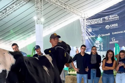 Jornada técnica abre a 14ª Expo Girolando Barra Mansa com foco em produtividade e genética de ponta