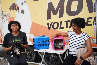 Castramóvel de Volta Redonda inicia castrações no bairro Roma I e segue com atendimentos até 28 de maio