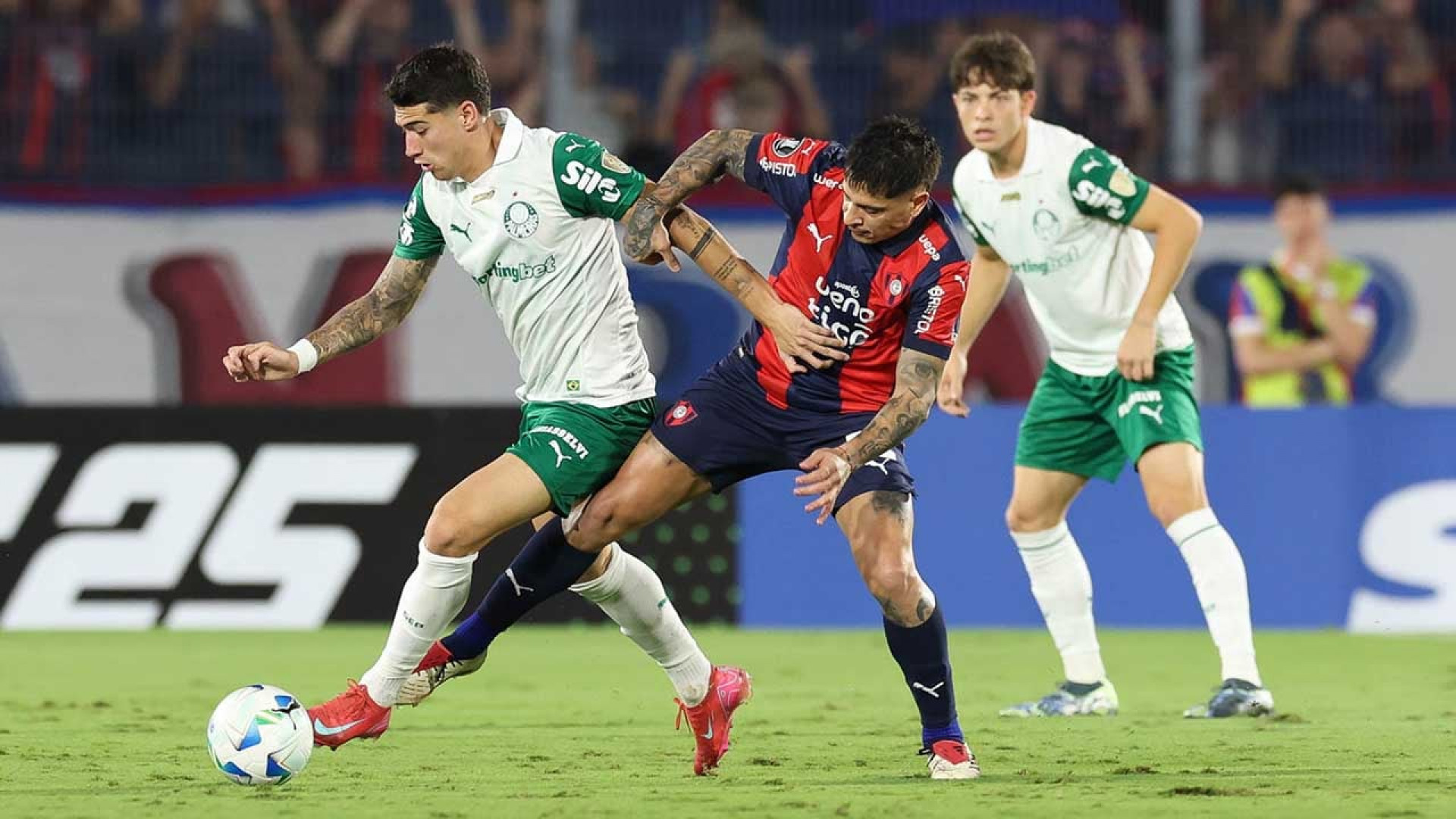 Palmeiras pode transformar Cerro Porte&ntilde;o em sua maior v&iacute;tima internacional