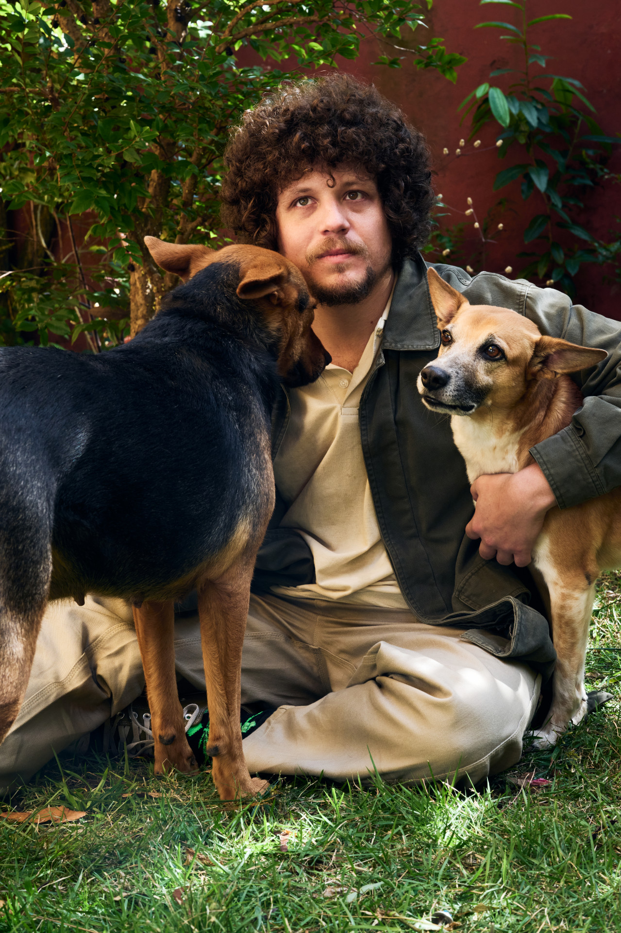  Chico Chico  - Divulgação 