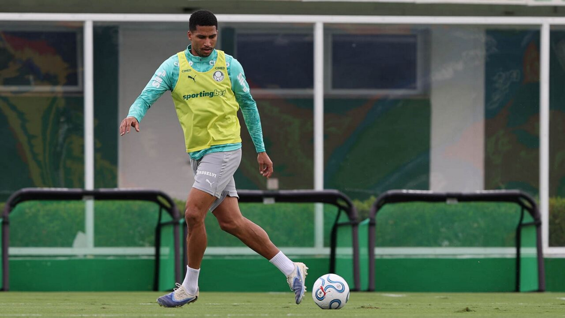 Palmeiras inicia prepara&ccedil;&atilde;o para enfrentar o Santos com Paulinho