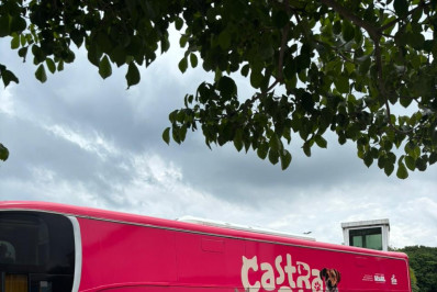 Projeto oferece castração gratuita para cães e gatos de Guadalupe e da Penha