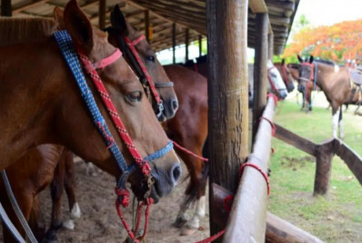 Cavalgada do Trabalhador promete movimentar Rio das Ostras com shows e tradição sertaneja