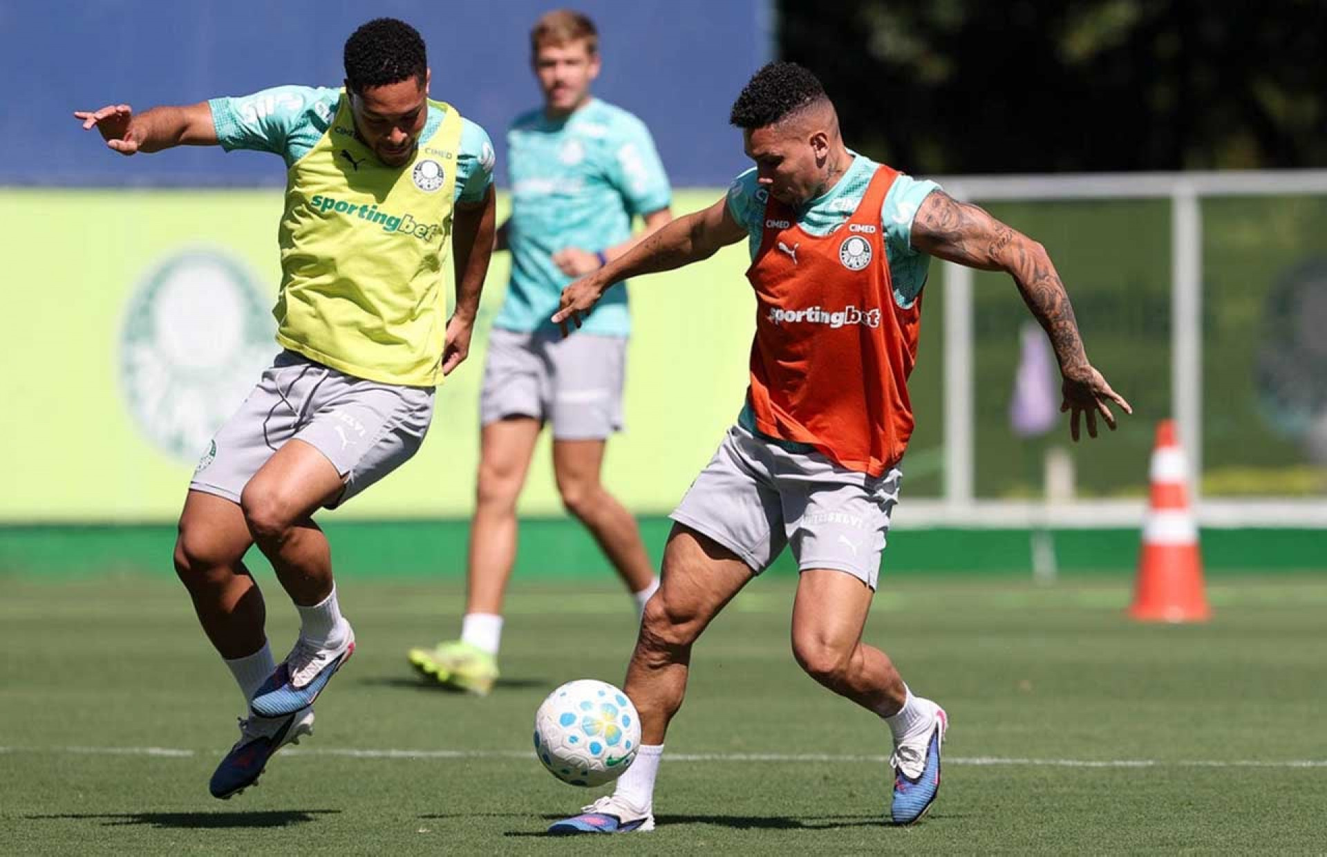 Paulinho volta a ser relacionado no Palmeiras ap&oacute;s quase 10 meses