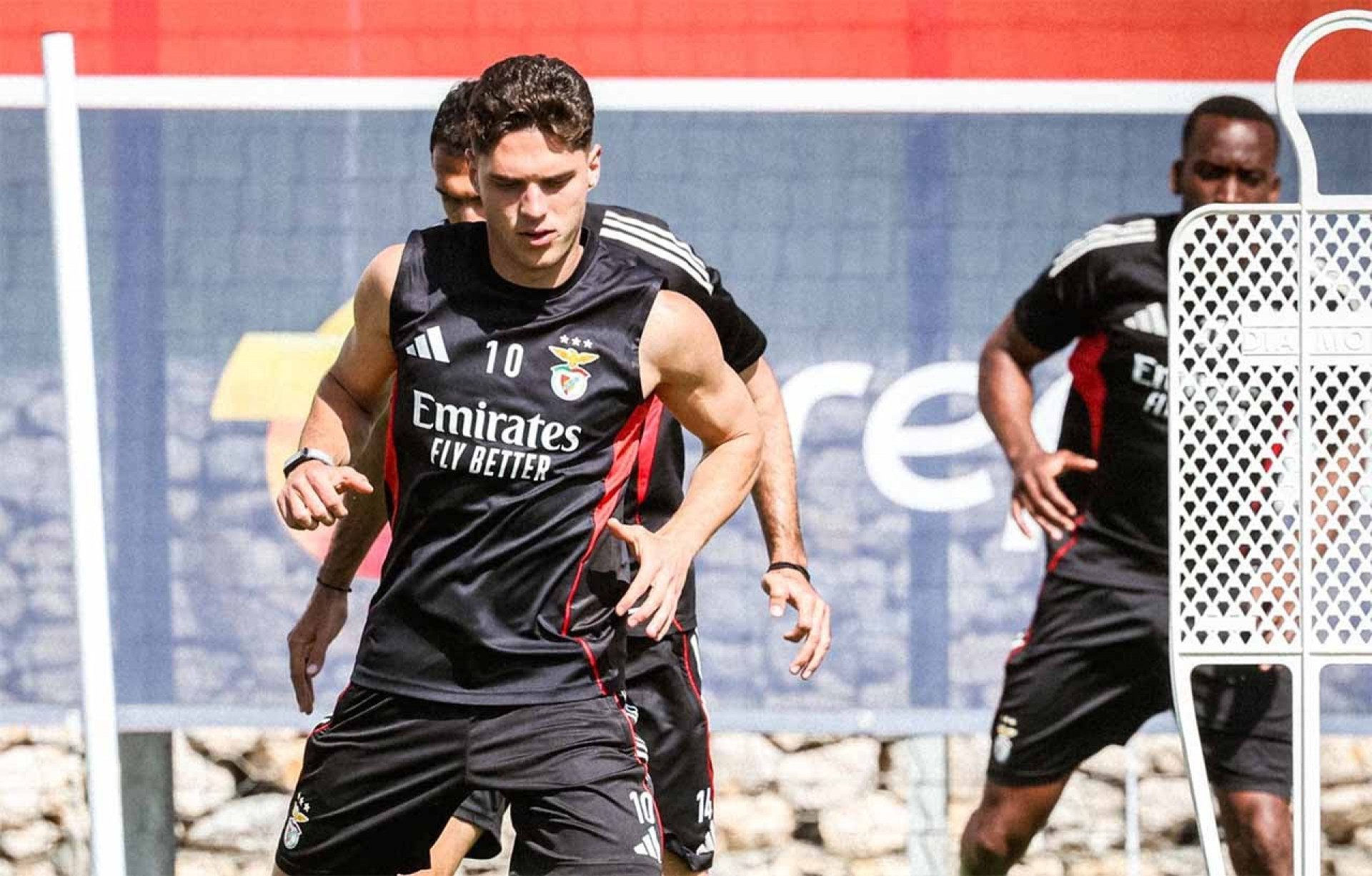 Famalic&atilde;o x Benfica: Onde assistir, escala&ccedil;&otilde;es e arbitragem