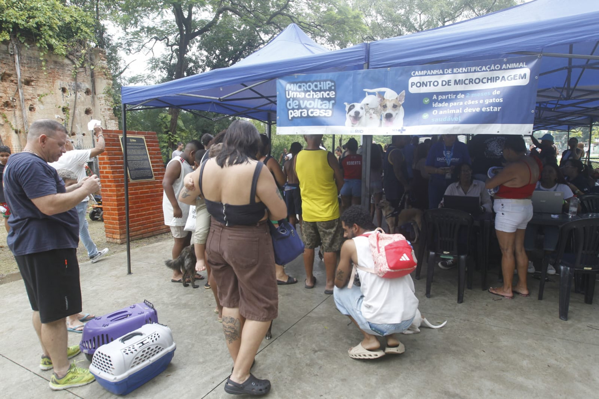 Tutores levaram seus animais de estimação para microchipagem durante a ação - Reginaldo Pimenta / Agência O Dia