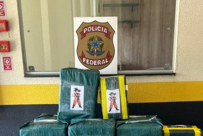 Polícia Federal apreende 250 kg de cocaína em SP