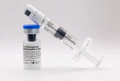 Butantan vai produzir vacina nacional contra chikungunya
