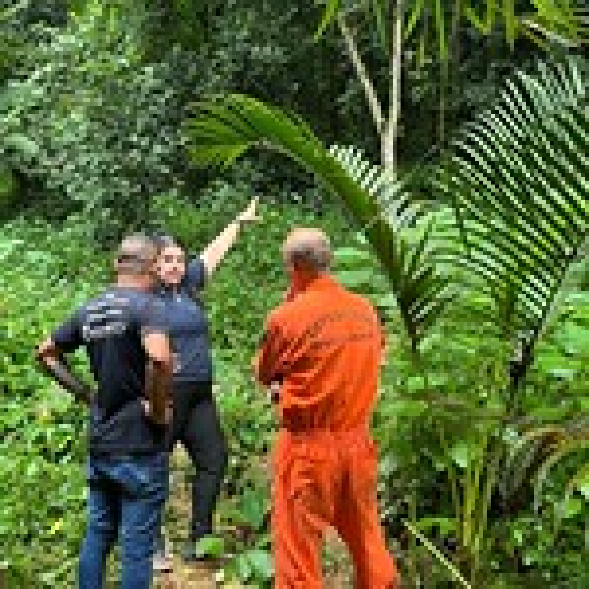Defesa Civil testa sistema de alerta em comunidades - Divulga&ccedil;&atilde;o/PMAR
