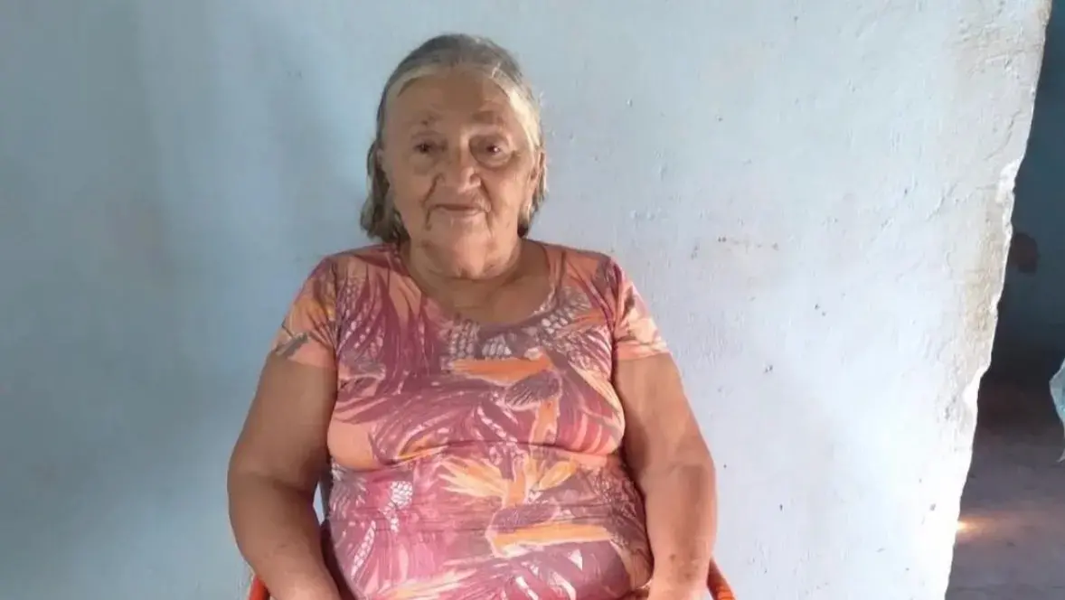 Idosa morre em ataque de enxame de abelhas no interior do Ceará