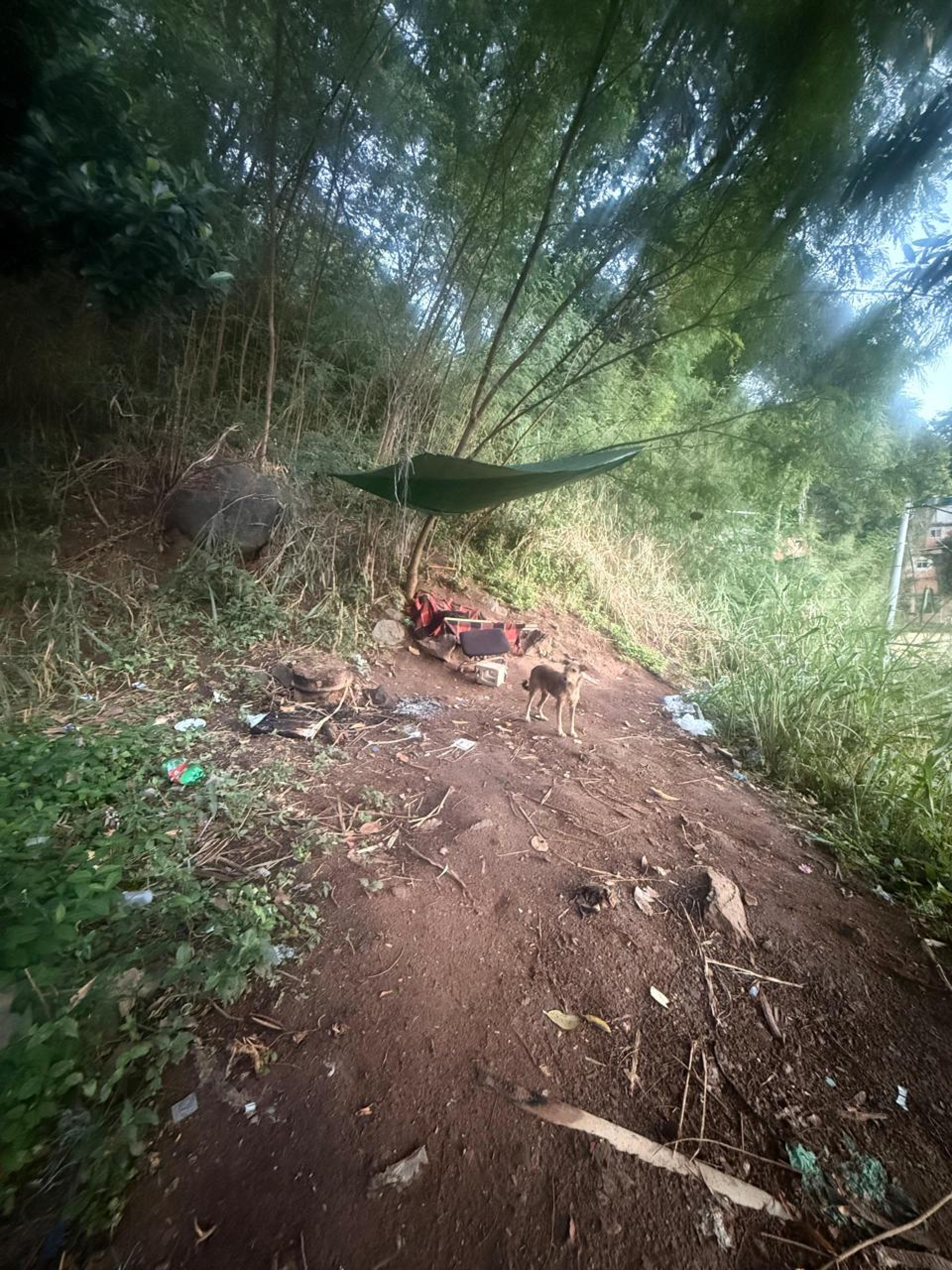 Agentes encontraram acampamento usado por traficantes no Morro do Borel - Divulgação / Polícia Militar