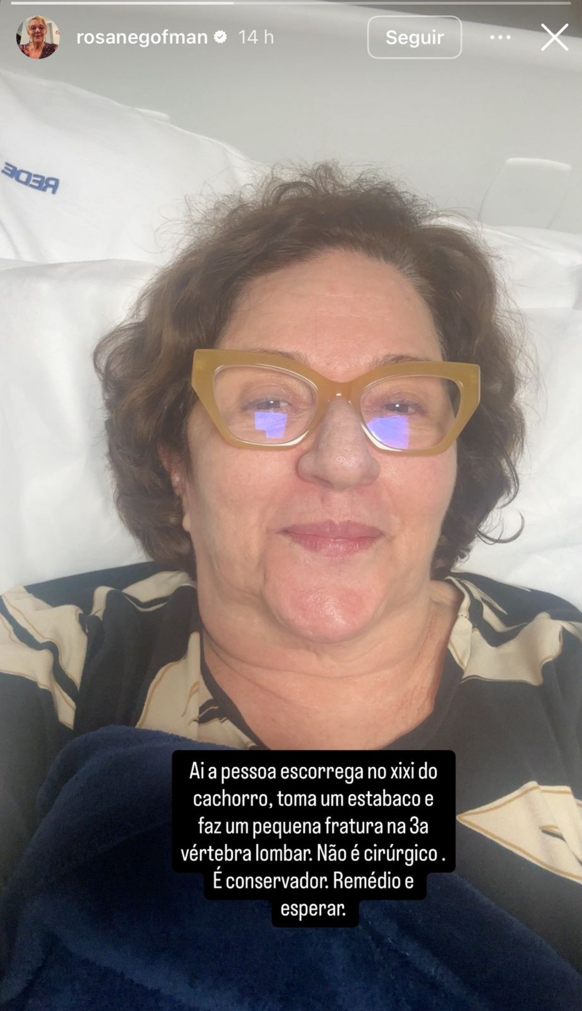Rosane Gofman conta que sofreu fratura após escorregar em xixi de cachorro - Reprodução / Instagram