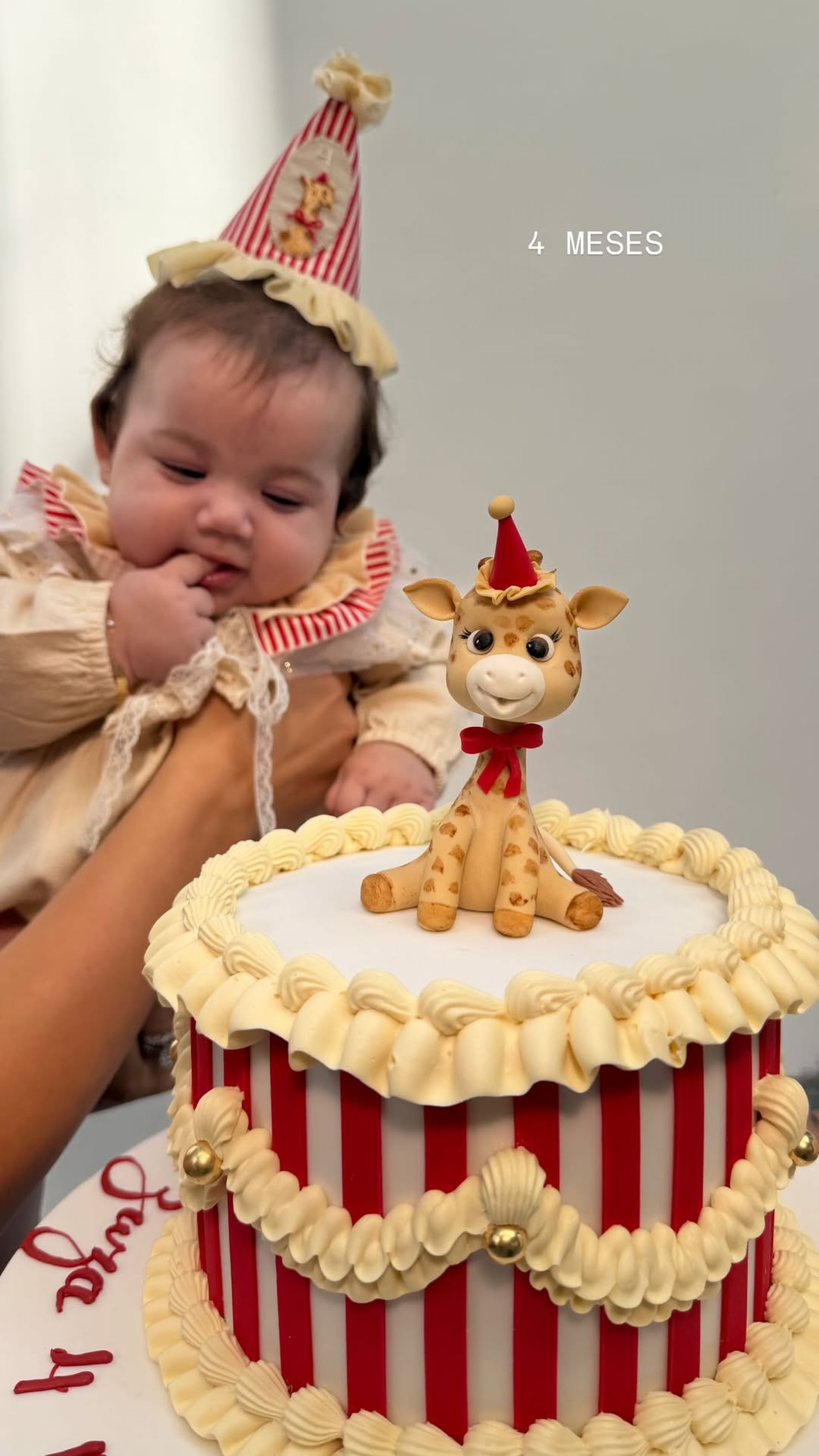 Zuza completou 4 meses de vida  - Reprodução/Instagram 