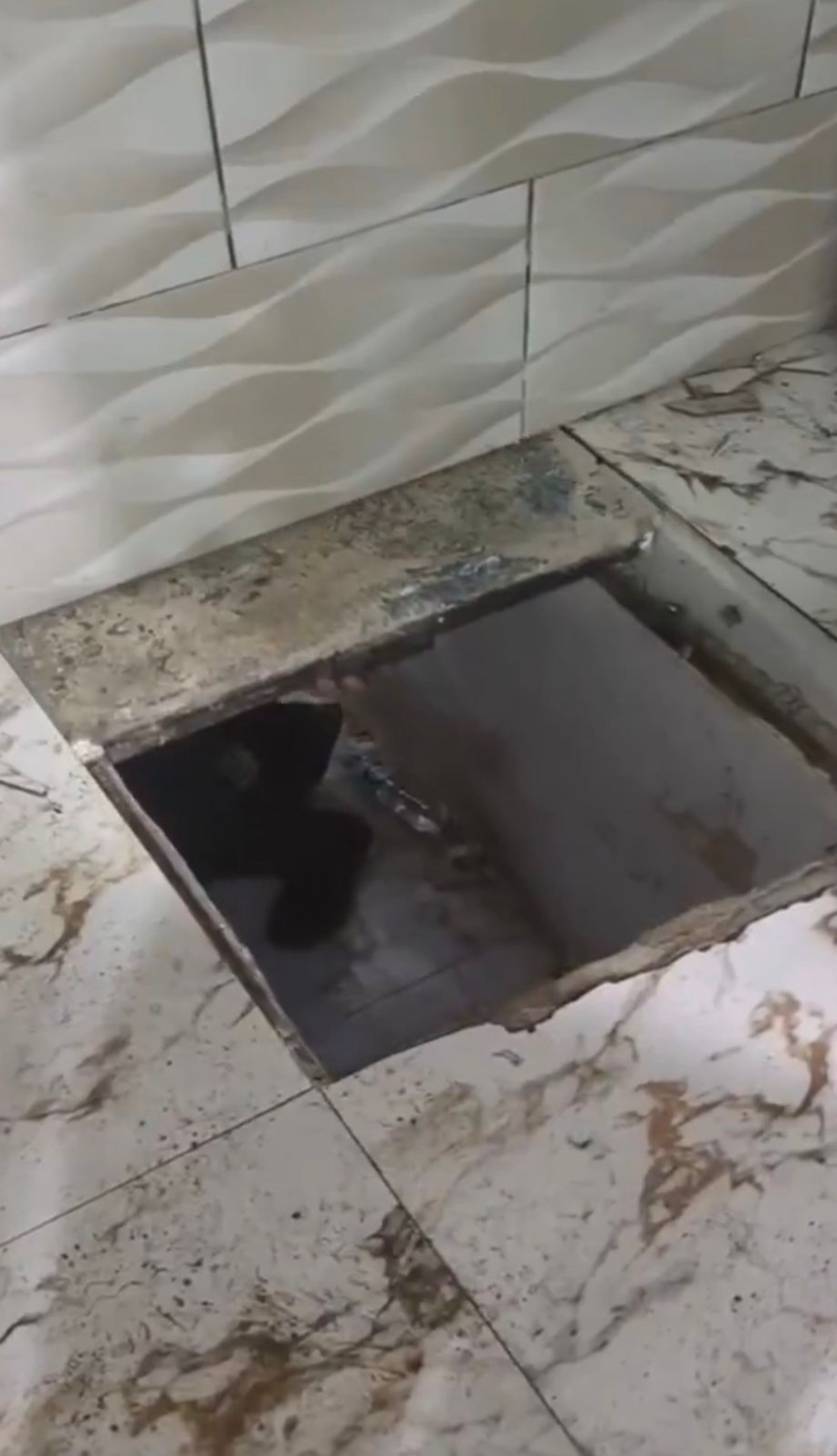 Entrada do bunker ficava escondida no piso de um imóvel na comunidade da Coreia - Reprodução