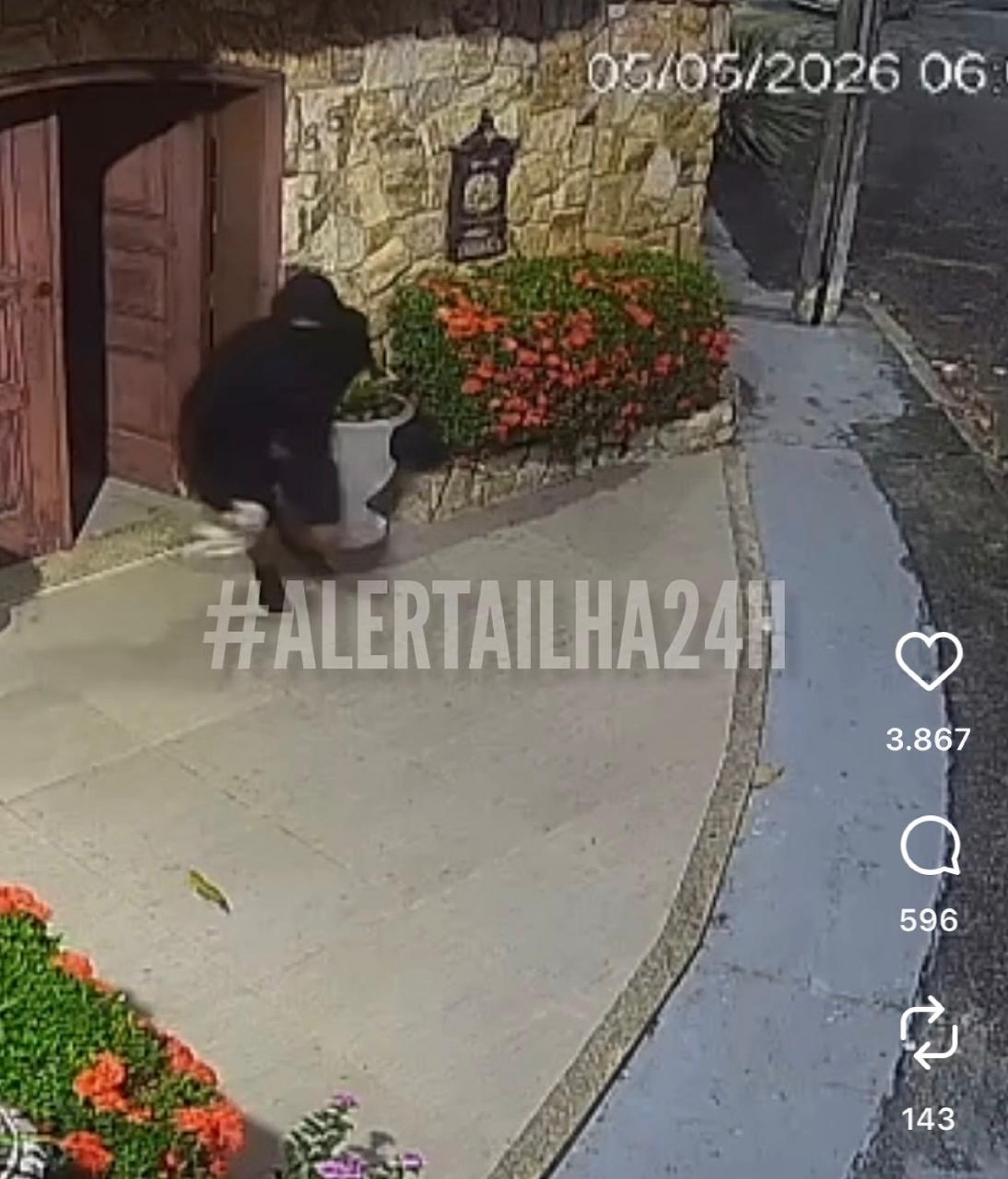 Três criminosos fogem depois de atirar em idoso