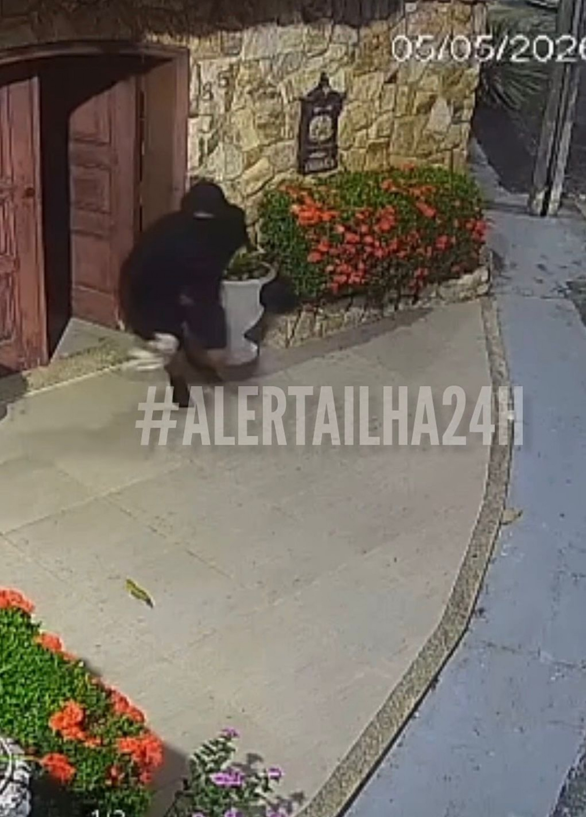 Três criminosos fogem depois de atirar em idoso