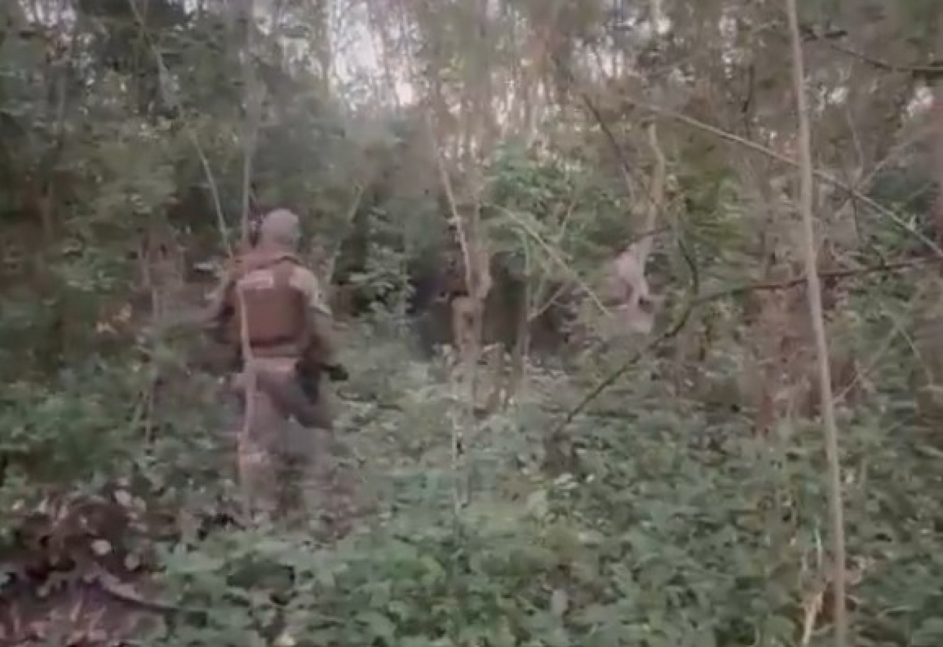 Equipes do Bope realizam buscas em área de mata da Gardênia Azul - Reprodução / Redes Sociais