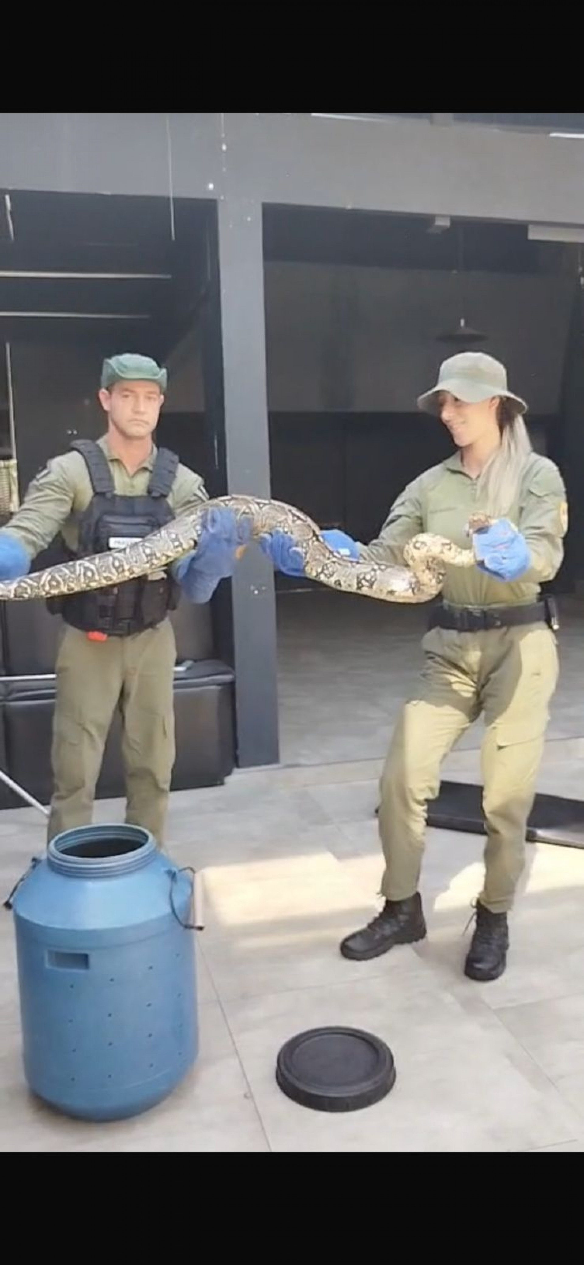 Guarda Ambiental resgata duas cobras na Região Oceânica