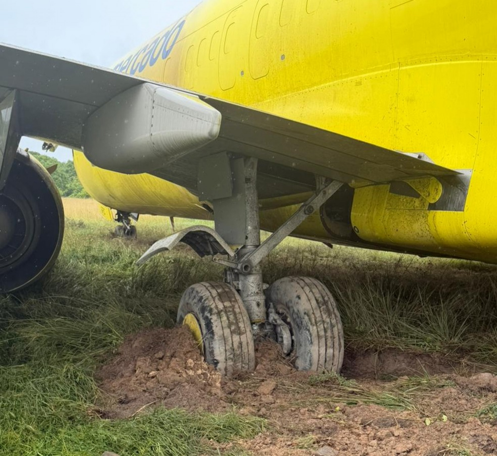 Pneus do avi&atilde;o ficaram 'enterrados' na grama - Reprodu&ccedil;&atilde;o / Redes sociais