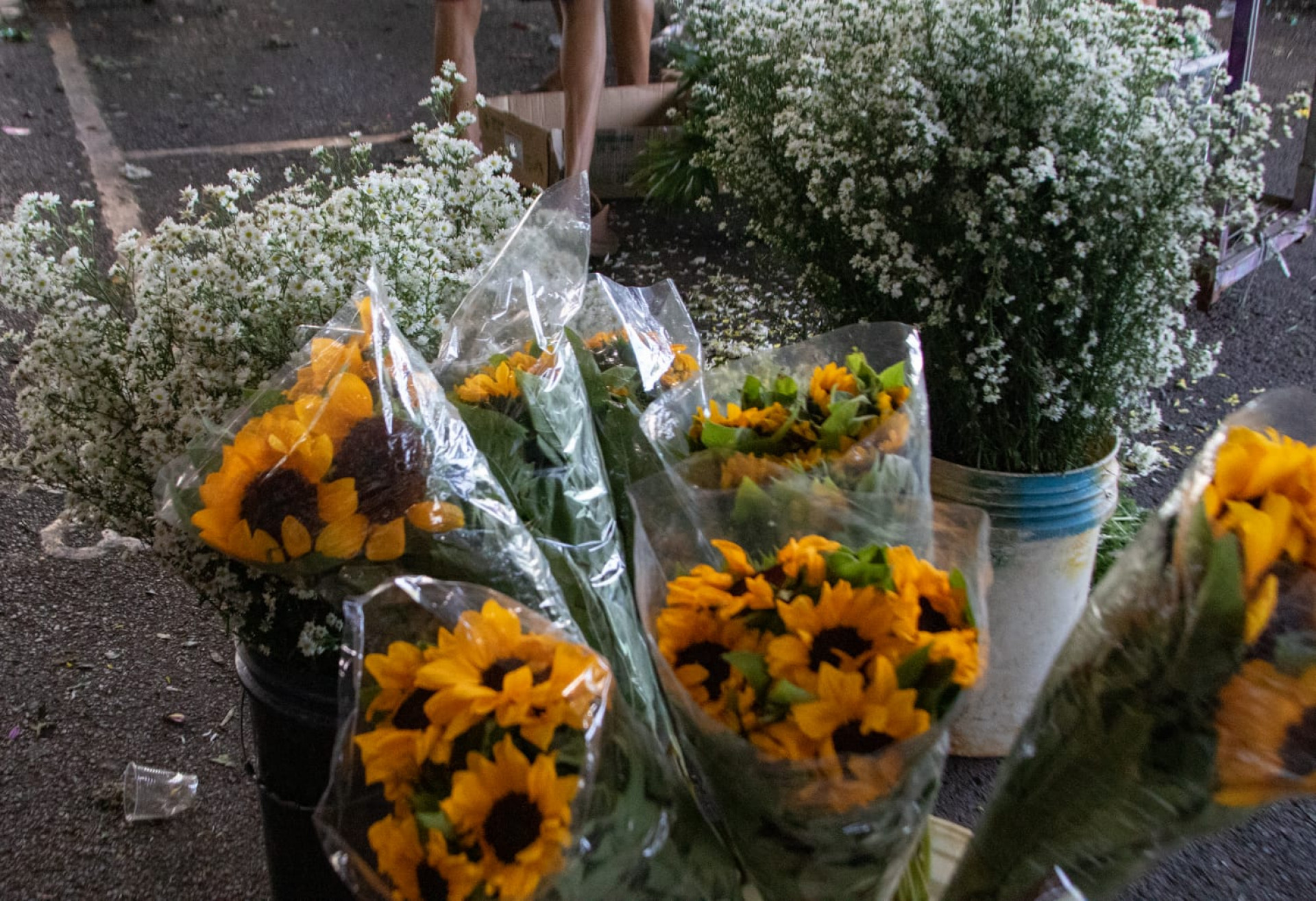 Cariocas lotam Cadeg em busca de flores para o Dia das Mães - Érica Martin/Agência O DIA