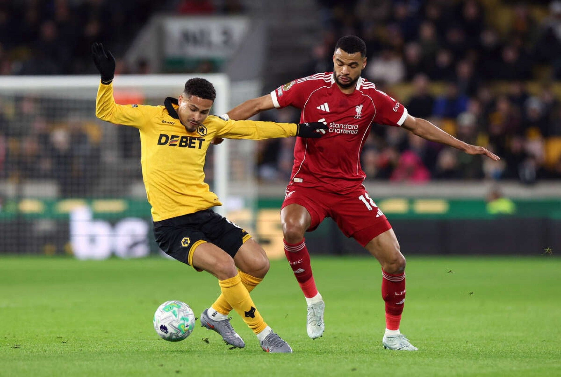 Atl&eacute;tico de Madrid encaminha acordo por Jo&atilde;o Gomes, destaque do Wolverhampton