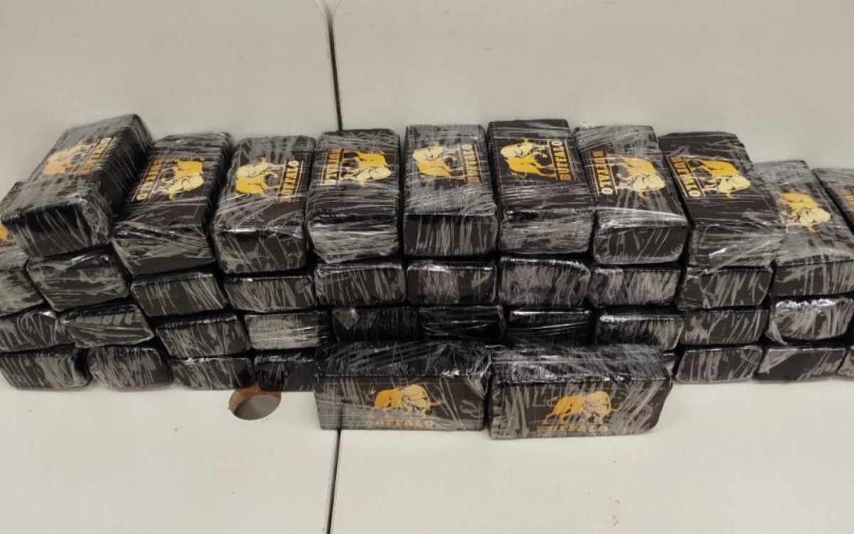 Motorista de caminhão é preso com 50 kg de cocaína na Via Dutra