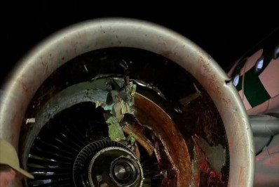 Vídeo: imagens mostram momento em que pedestre é atropelado por avião nos EUA