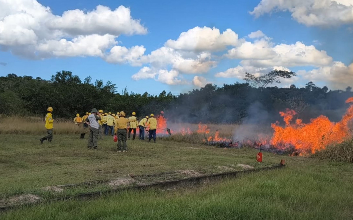 Curso reuniu candidatos que irão atuar na linha de frente contra incêndios florestais em unidades de conservação