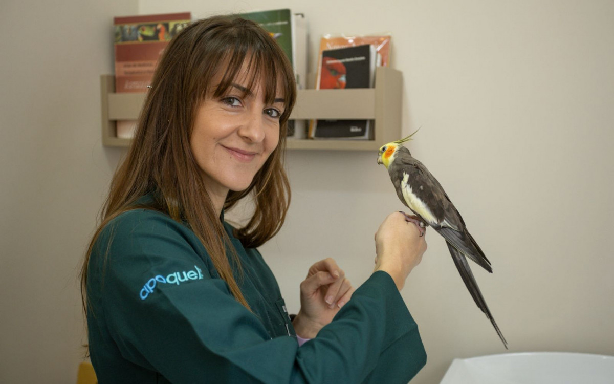 Na foto, a veterinária Raissa Natali, do Hospital Veterinário Taquaral