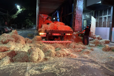 Polícia do Paraná apreende mais de 4,5 toneladas de maconha no Paraná