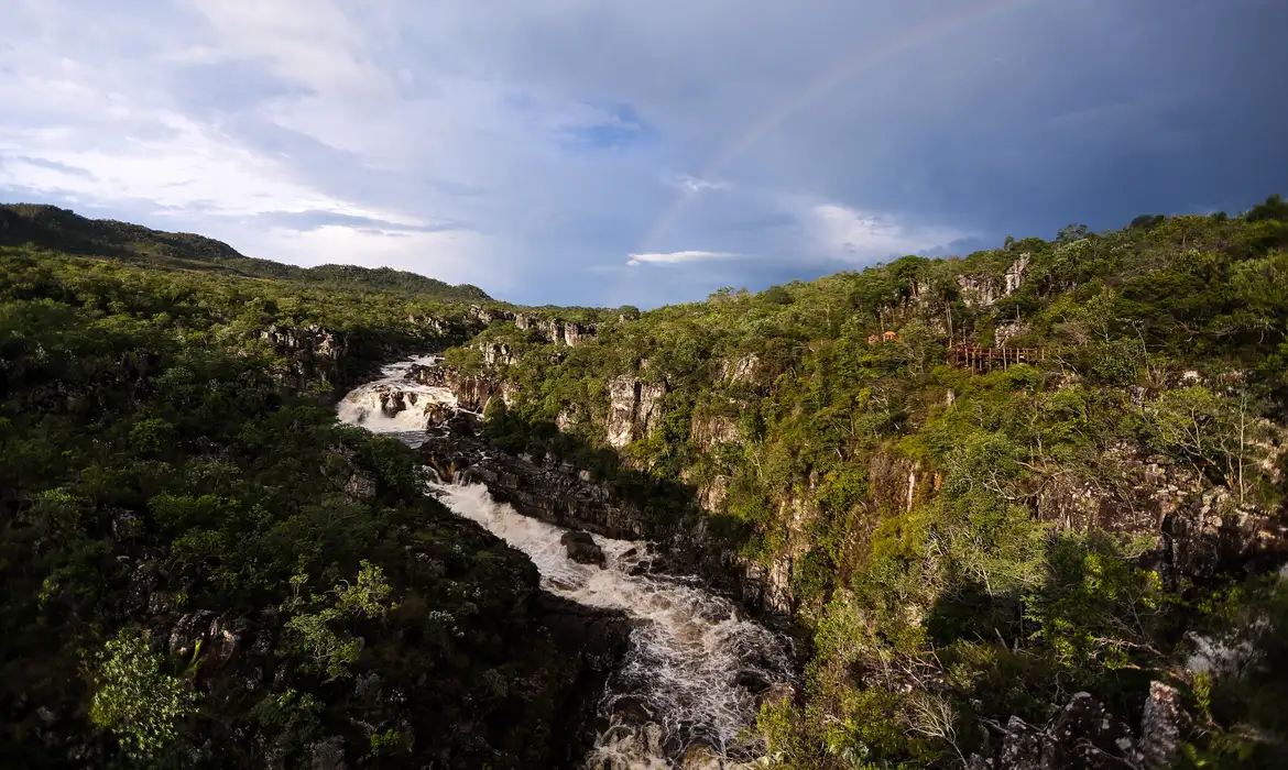 Criança de 8 anos é atacada por onça-parda em cachoeira na Chapada dos Veadeiros