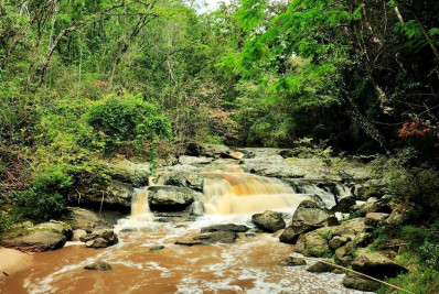 Prefeitura de Volta Redonda promove ‘Turistando em VR’ especial na Floresta da Cicuta