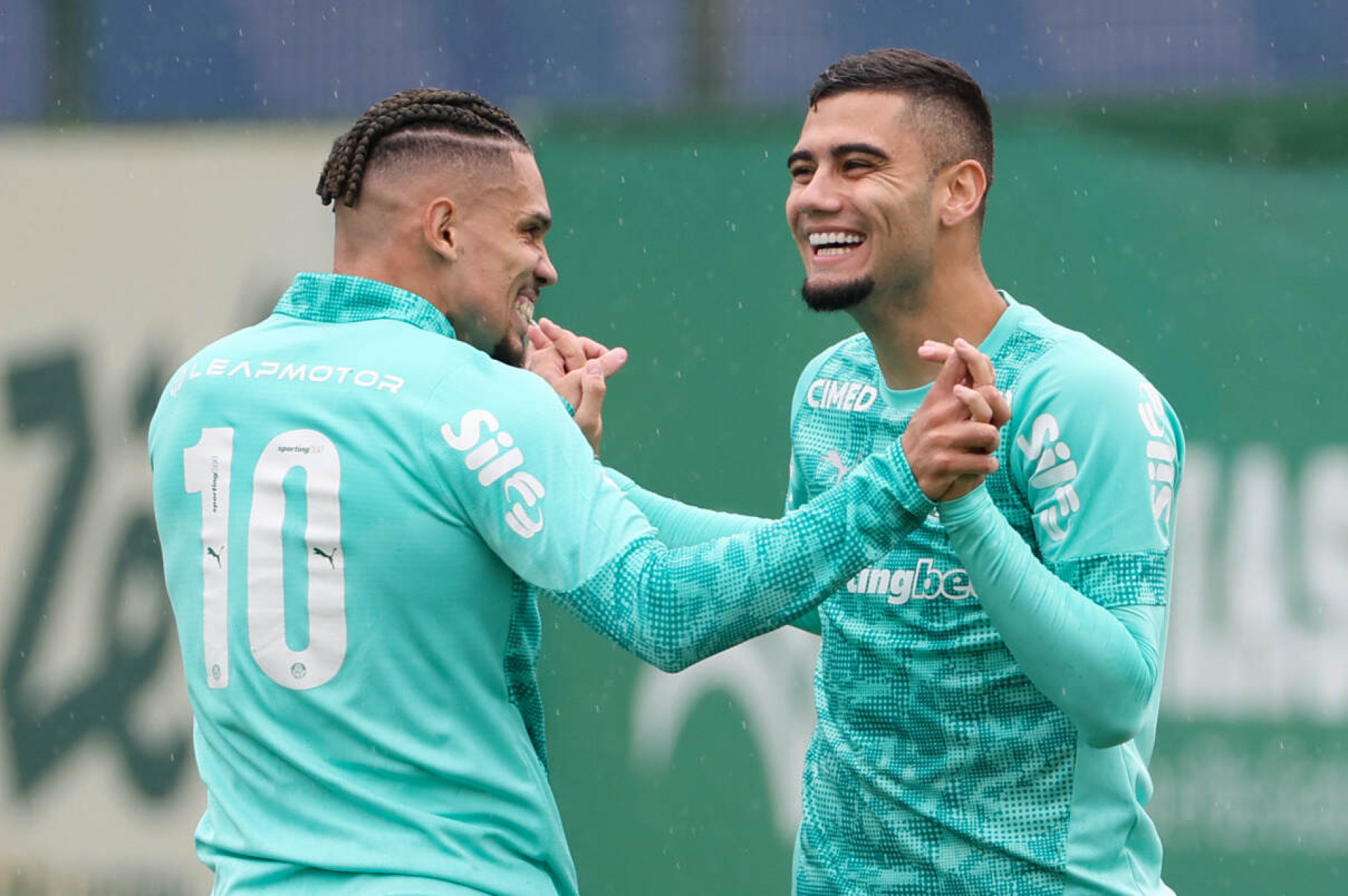 Palmeiras deve contar com retornos importantes diante do Cruzeiro