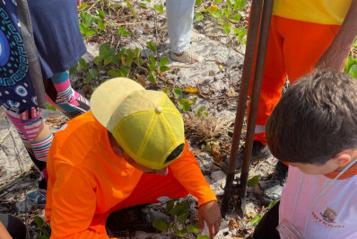 Niterói realiza ação de recuperação ambiental no Parque Natural Municipal Morro do Morcego
