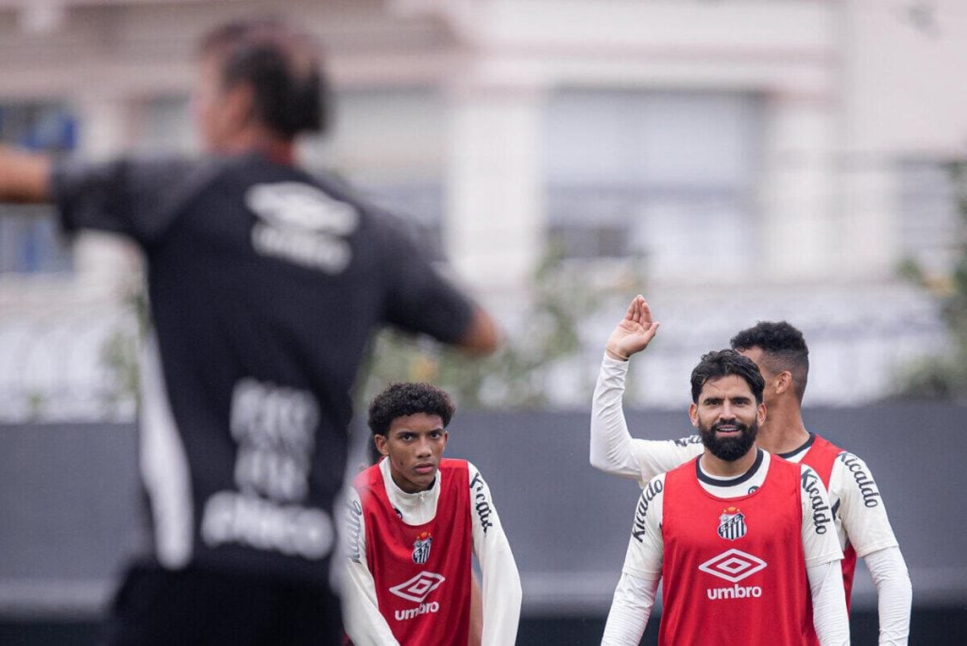 Santos x Coritiba: onde assistir, escala&ccedil;&otilde;es e arbitragem