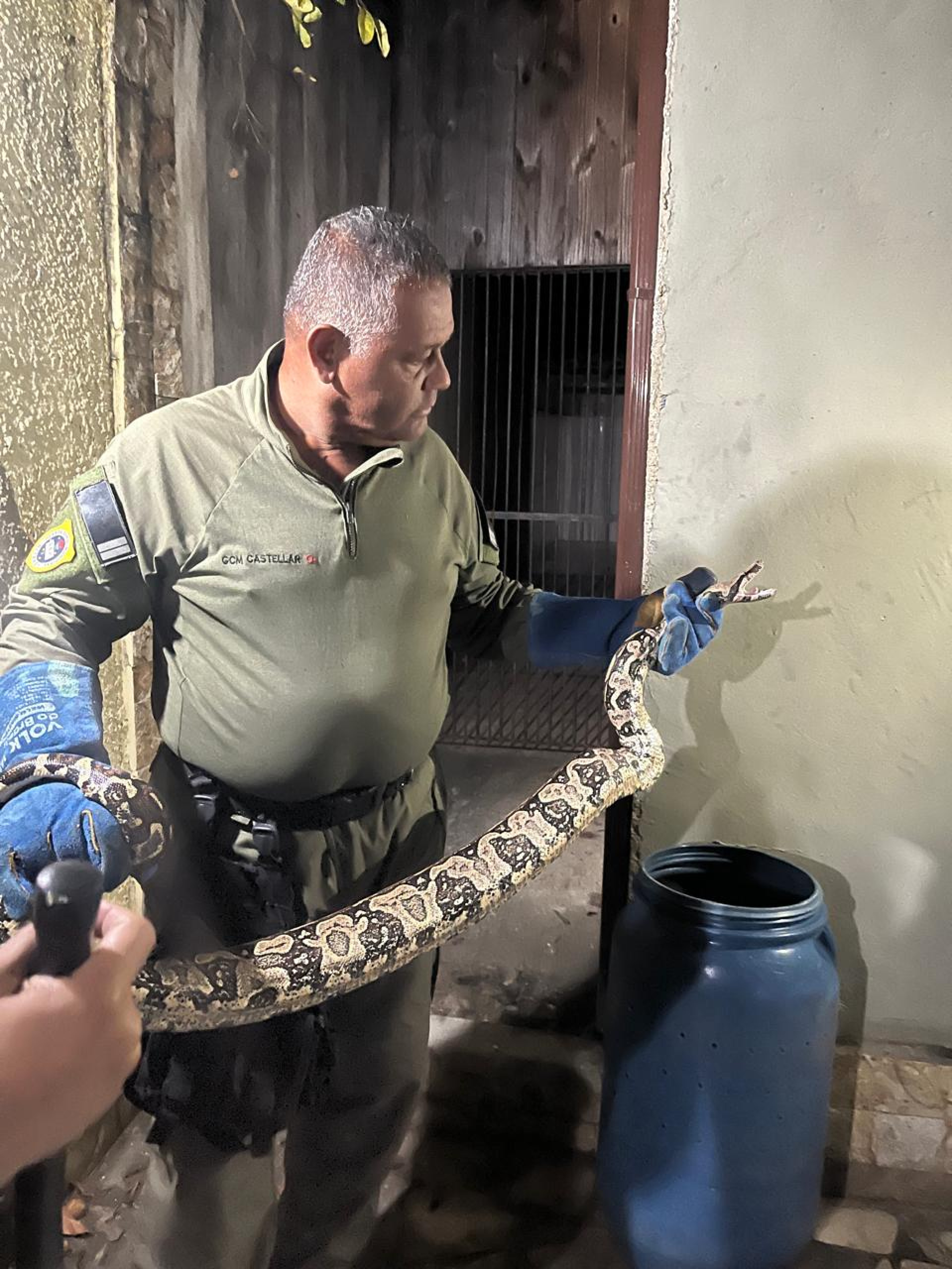 Jiboia é resgatada em Niterói - Divulgação