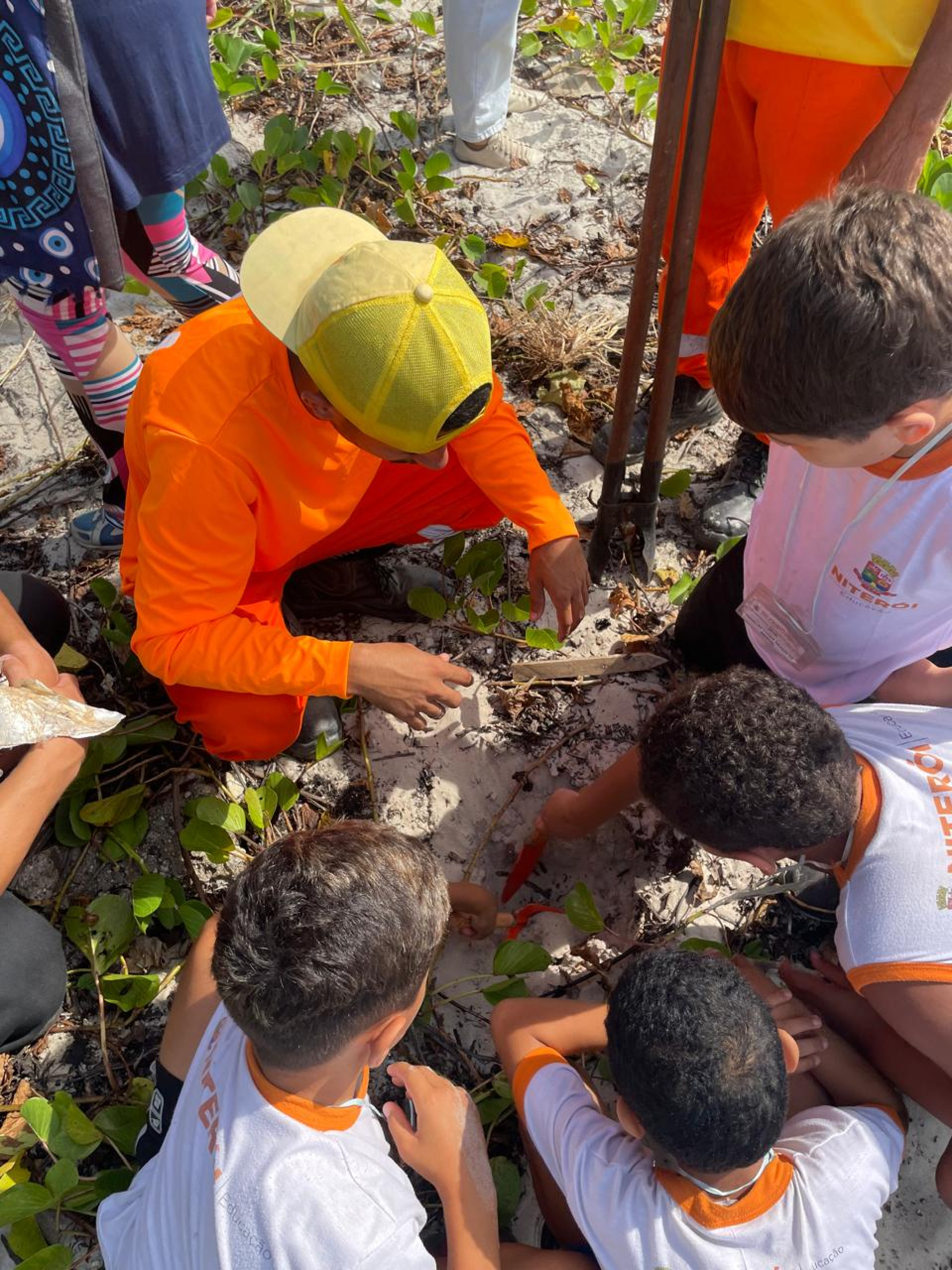 Niterói realiza ação de recuperação ambiental no Parque Natural Municipal Morro do Morcego