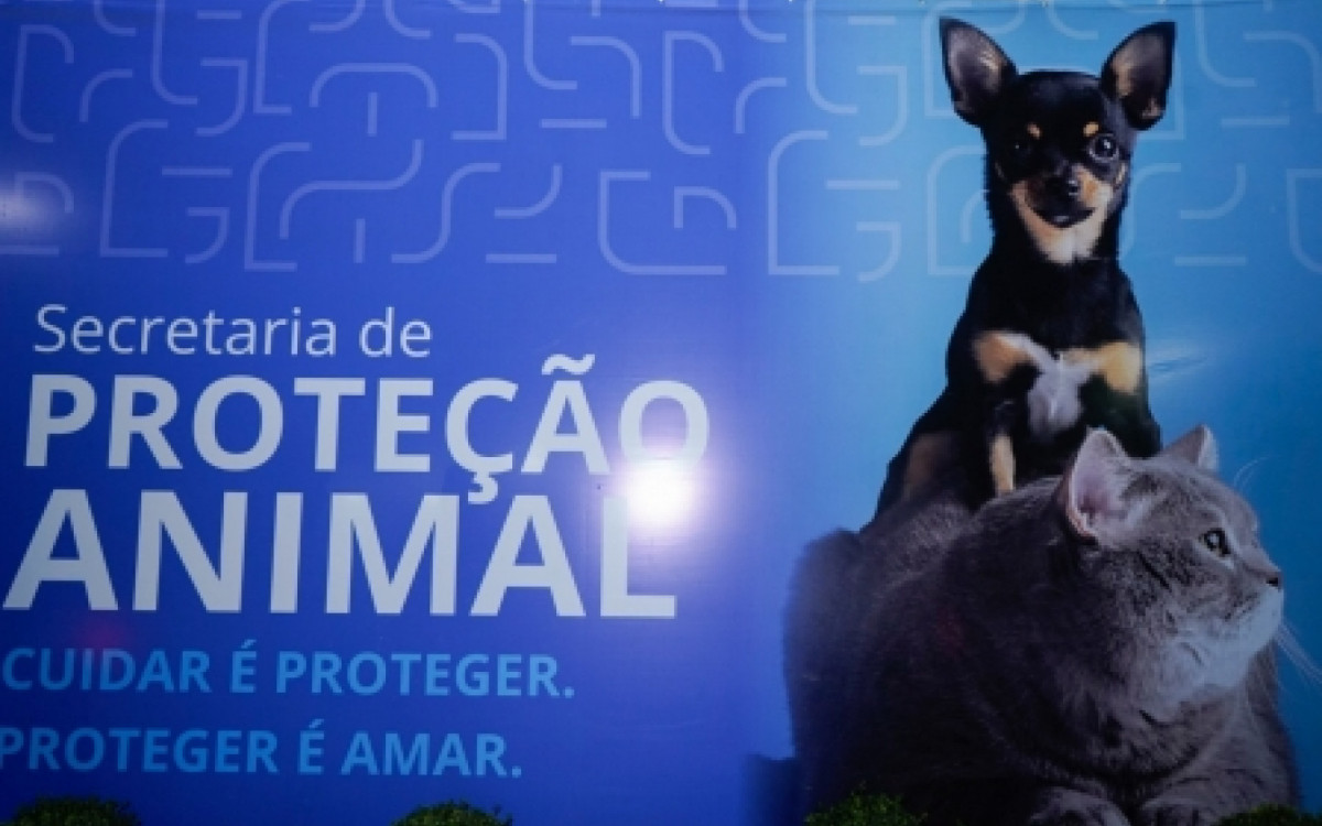 Prefeitura de Caxias entrega reforma da Secretaria de Prote&ccedil;&atilde;o Animal - Divulga&ccedil;&atilde;o