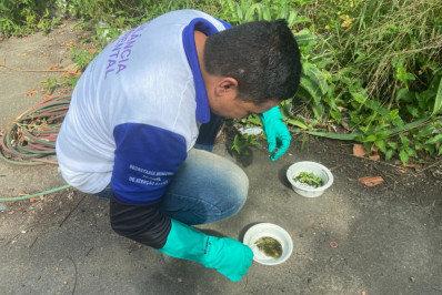 Macaé intensifica guerra contra o Aedes e leva mutirões, fumacê e educação ambiental para vários bairros