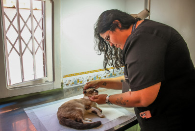 UBS Pet e Castramóvel fortalecem atendimento animal em Barra do Piraí
