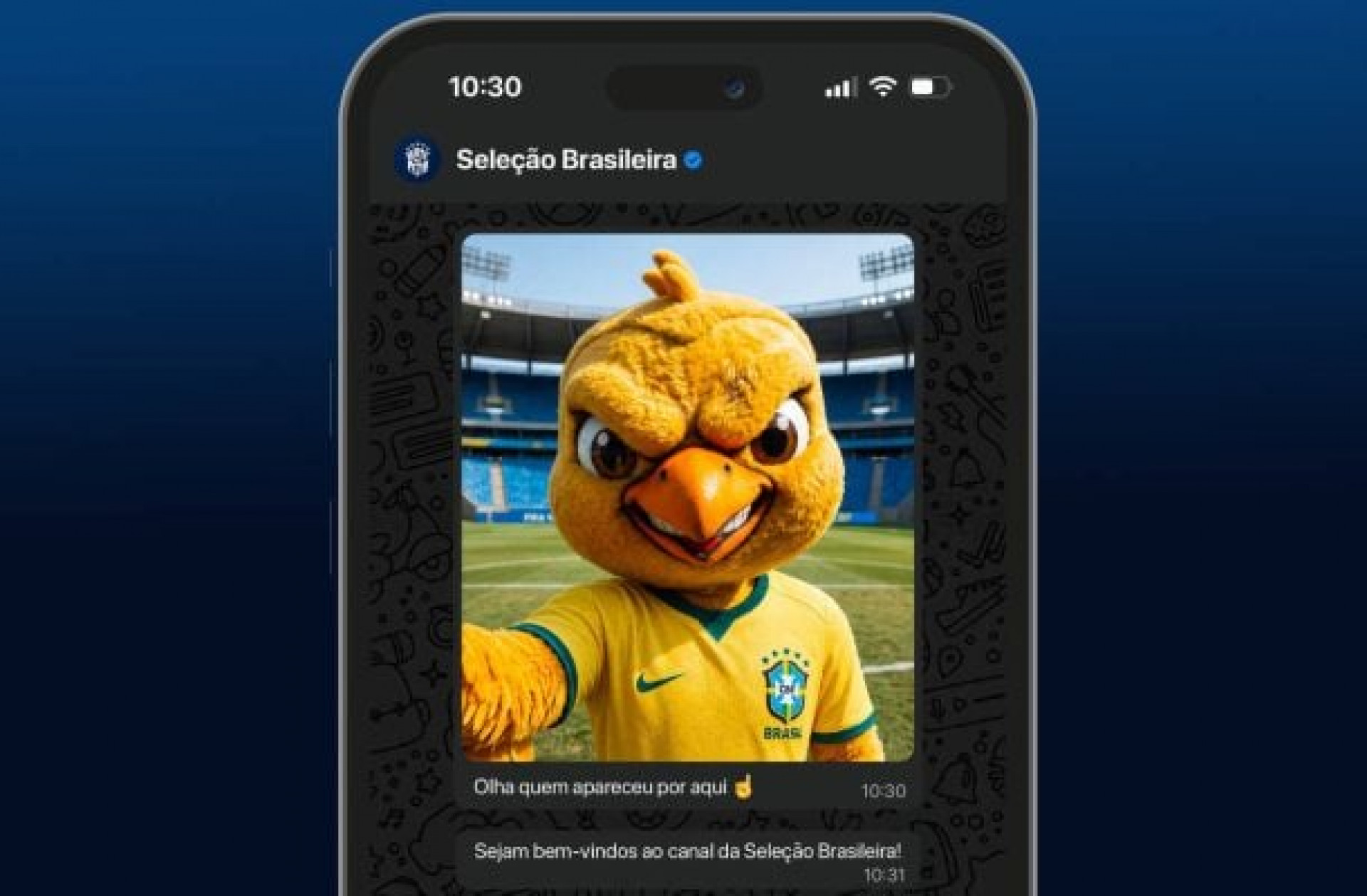 CBF lan&ccedil;a canal oficial no WhatsApp para se aproximar de torcedores