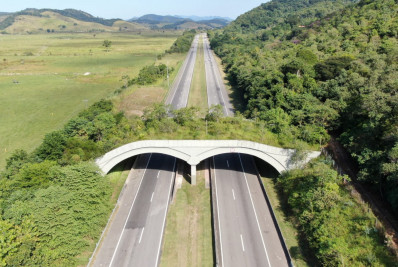 ICMBio celebra aprovação de proposta pela Câmara Federal que garante estruturas para travessia de animais silvestres em rodovias, ferrovias e estradas